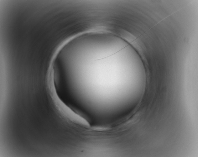 X0000092101344200709262134