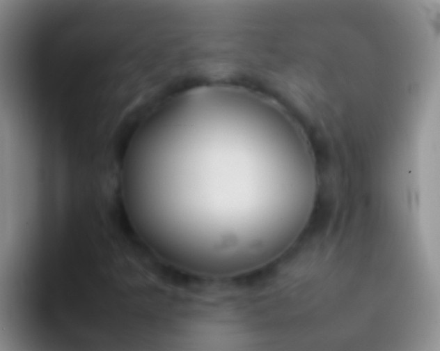 X0000092101349200709262134