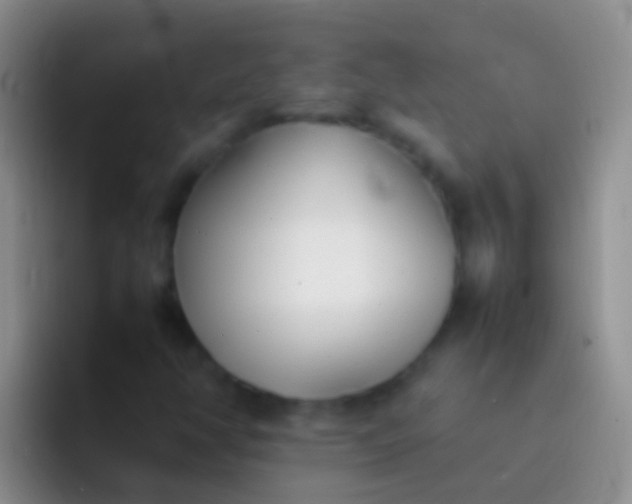 X0000092101350200709262134