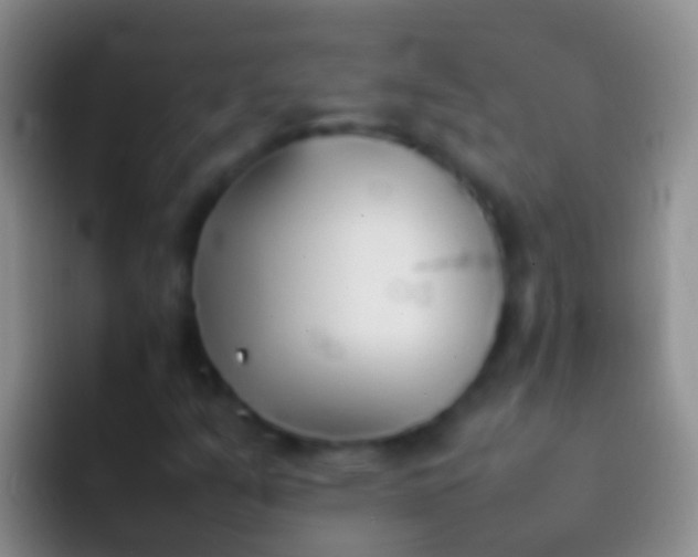 X0000092101351200709262134