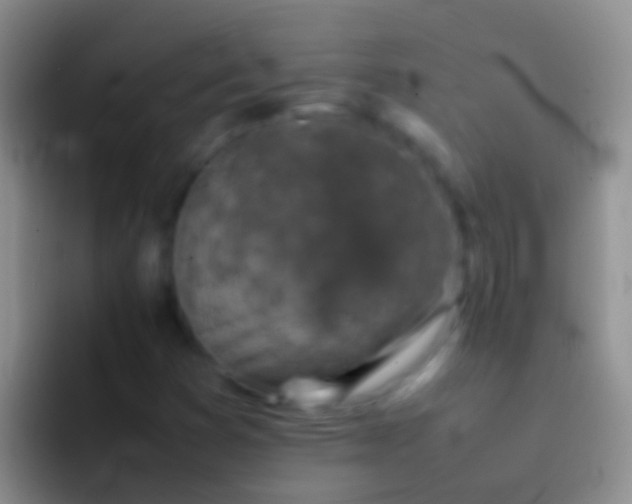 X0000092101353200709262134