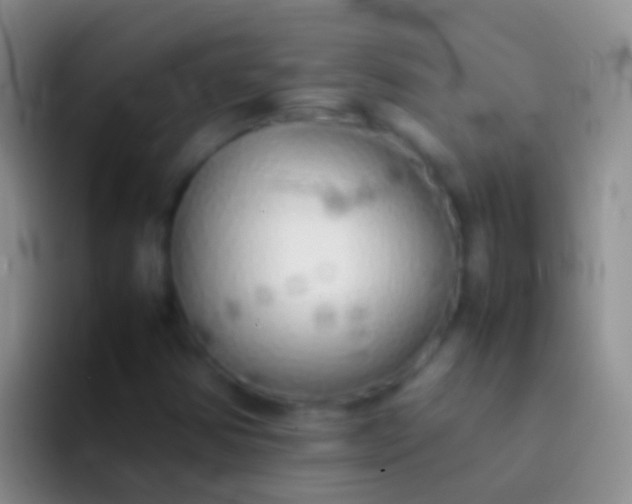 X0000092101354200709262134