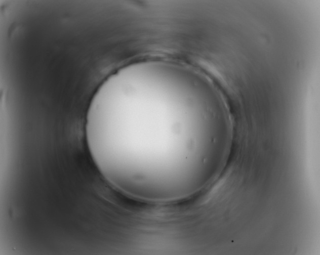 X0000092101355200709262134