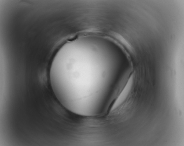 X0000092101356200709262134