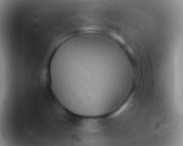 X0000092101357200709262134