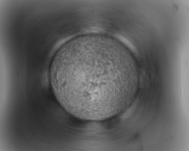 X0000092101358200709262134