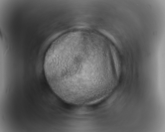 X0000092101359200709262134