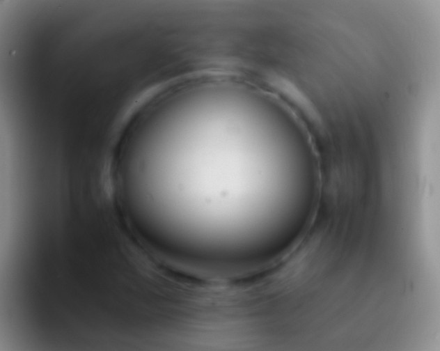 X0000092101360200709262134