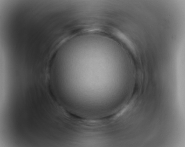 X0000092101361200709262134