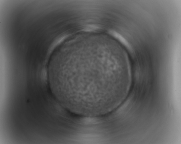 X0000092101362200709262134