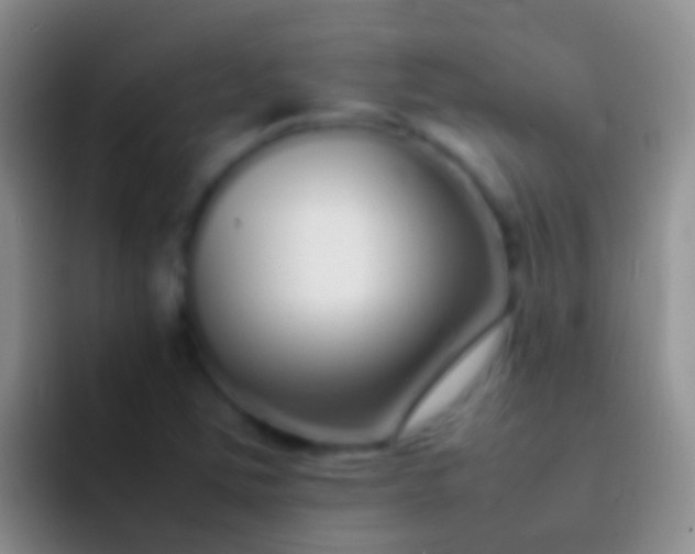 X0000092101363200709262134