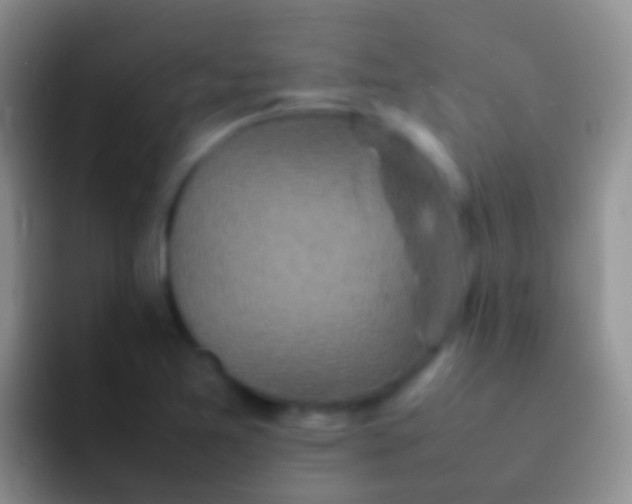 X0000092101365200709262133