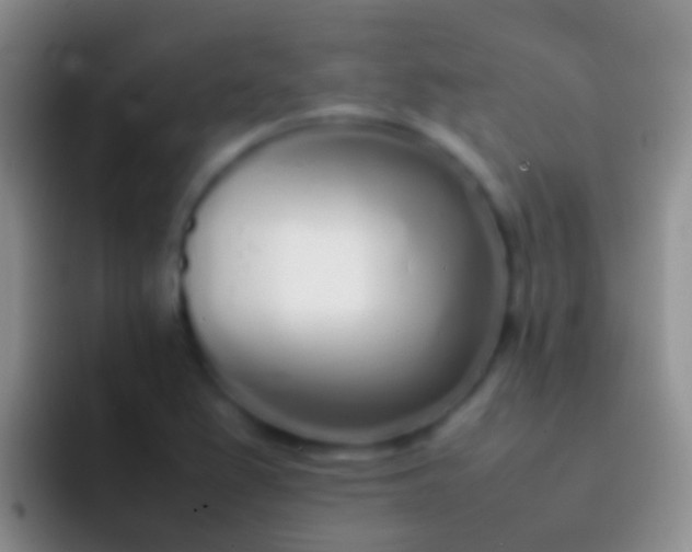 X0000092101367200709262133