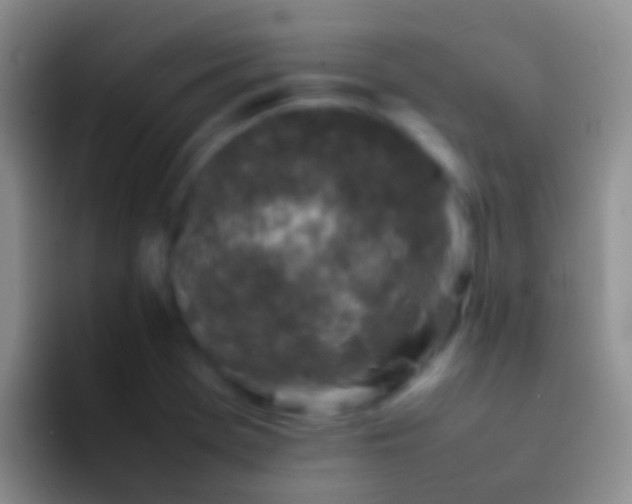 X0000092101369200709262133