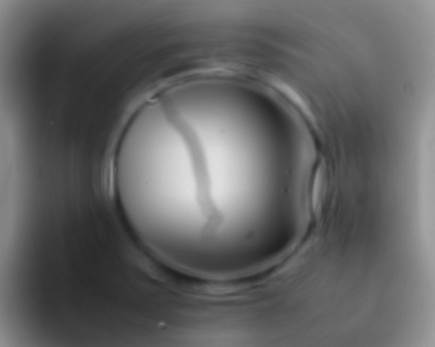 X0000092101371200709262133