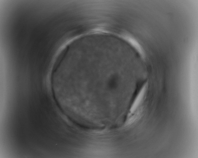 X0000092101373200709262133