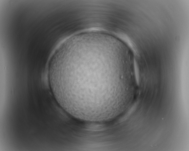 X0000092101374200709262133