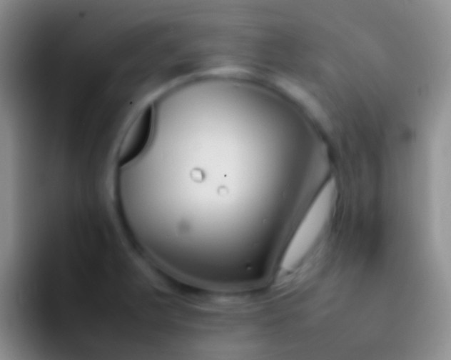 X0000092101375200709262133