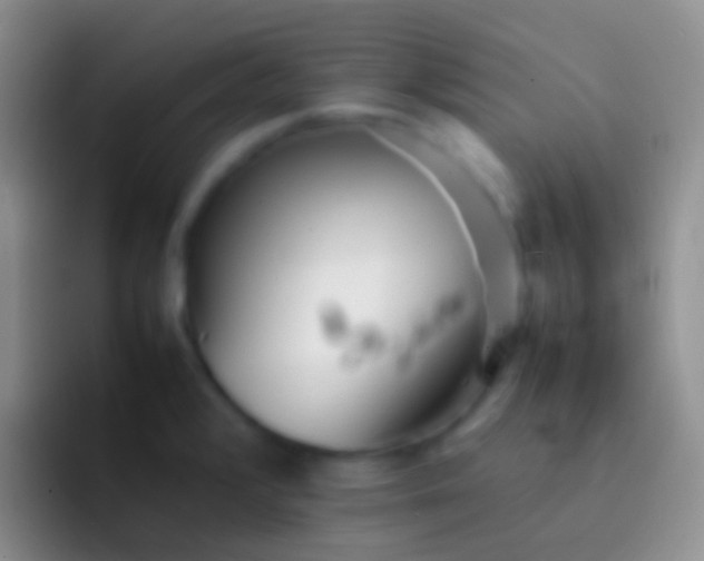 X0000092101376200709262133