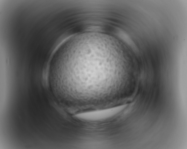 X0000092101378200709262133