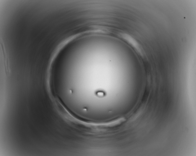 X0000092101379200709262133