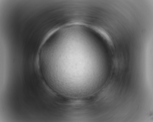 X0000092101382200709262133