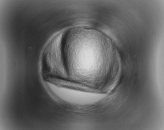 X0000092101383200709262133