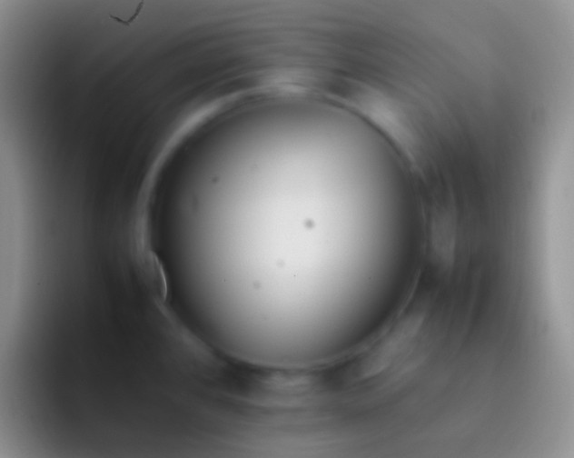 X0000092101384200709262133