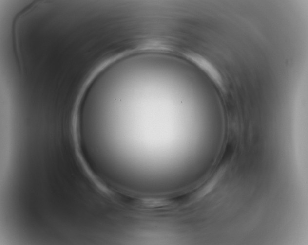 X0000092101391200709262133