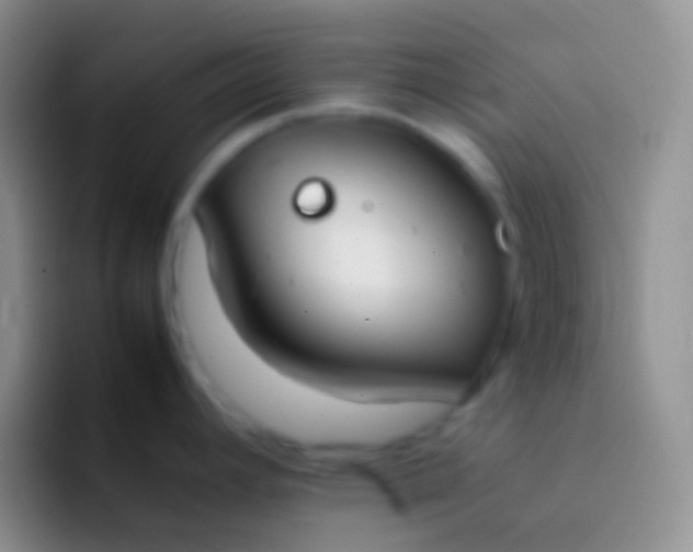 X0000092101392200709262133