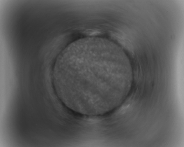 X0000092101393200709262133