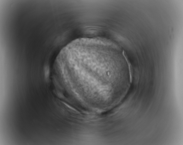 X0000092101394200709262133