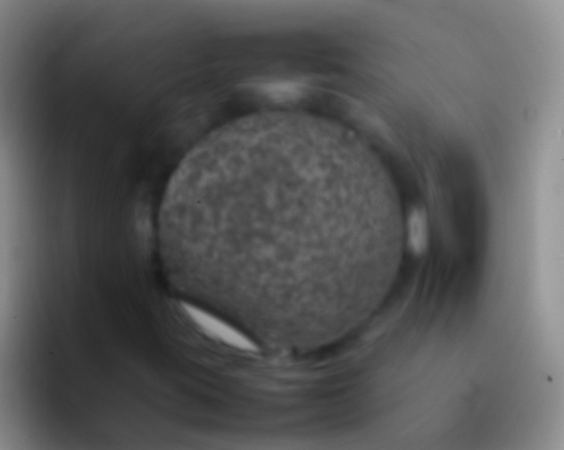 X0000092101395200709262133