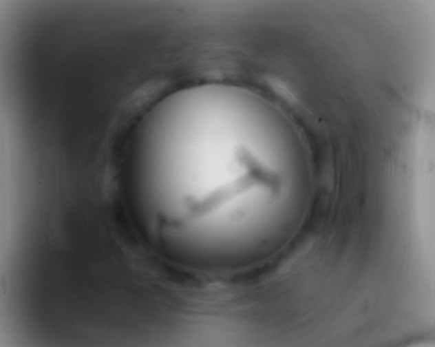 X0000092101398200709262133