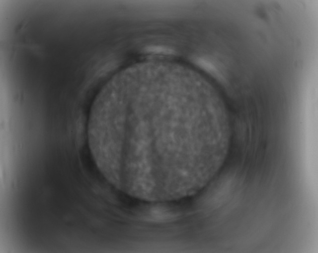 X0000092101399200709262133