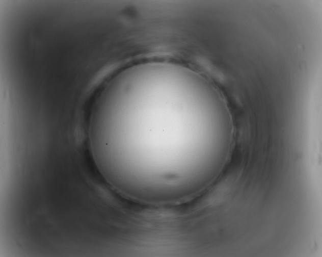 X0000092101400200709262133