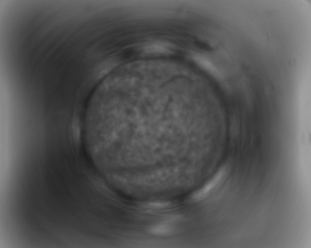 X0000092101401200709262133