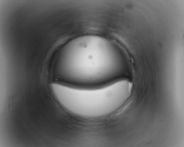 X0000092101402200709262133