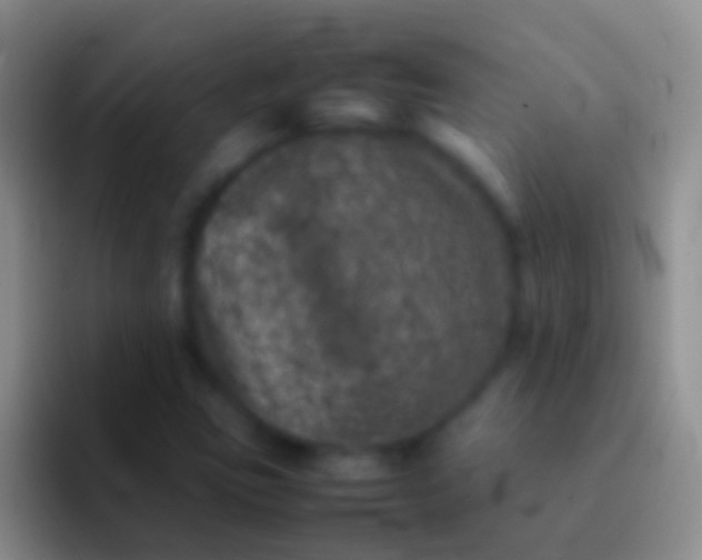 X0000092101403200709262133