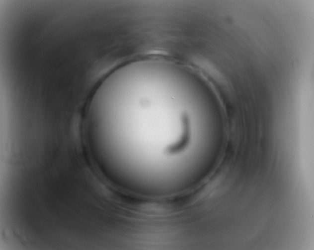 X0000092101404200709262133