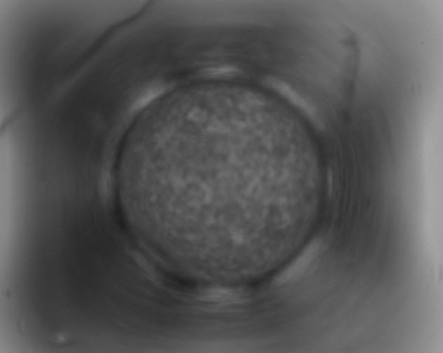 X0000092101405200709262133