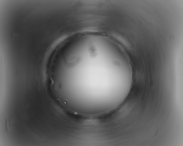 X0000092101406200709262133