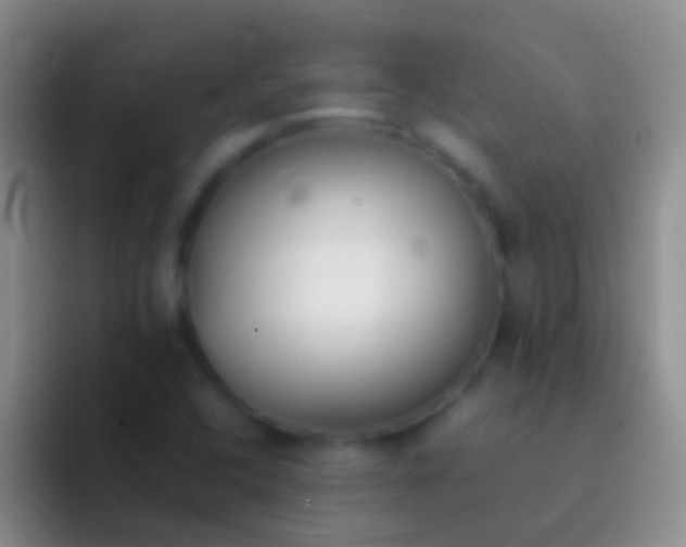 X0000092101408200709262133