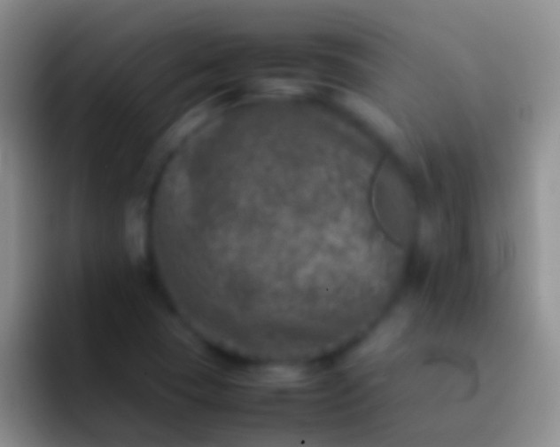 X0000092101409200709262133