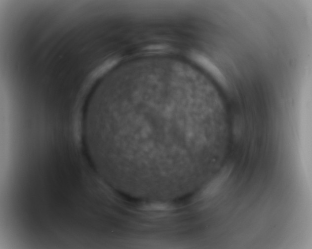 X0000092101411200709262133