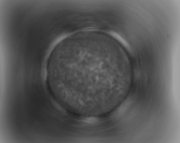 X0000092101413200709262133