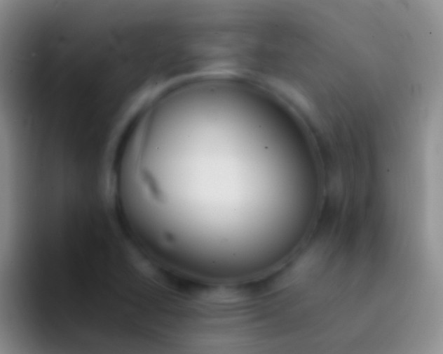 X0000092101414200709262133