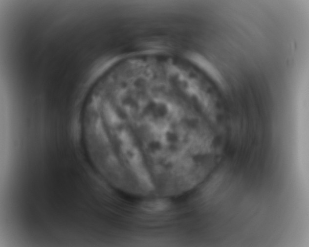 X0000092101415200709262133