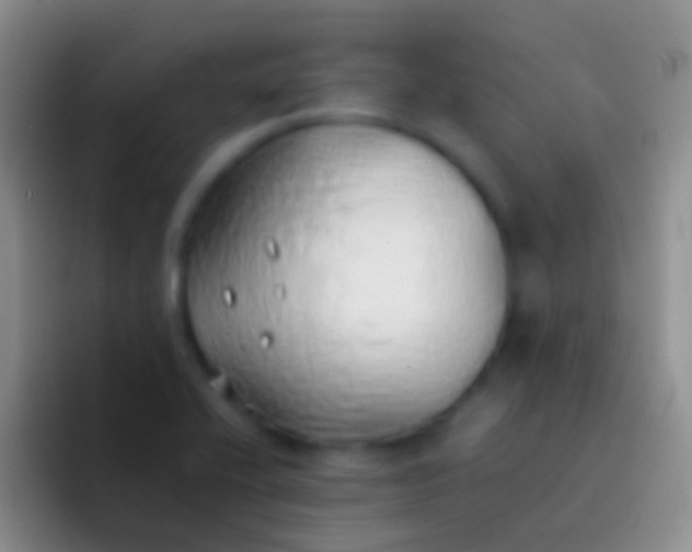 X0000092101416200709262133