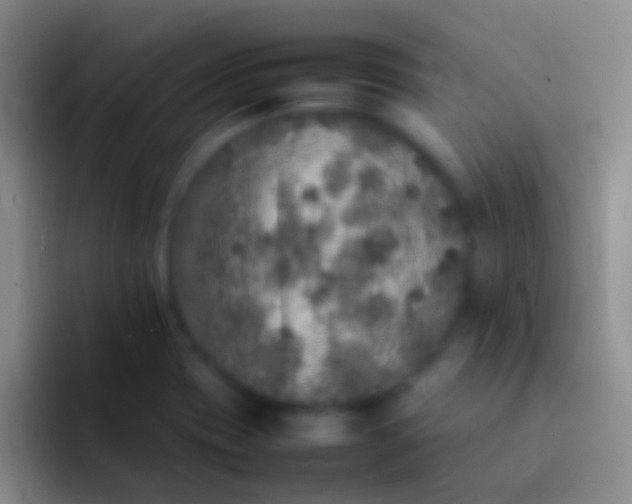 X0000092101417200709262133